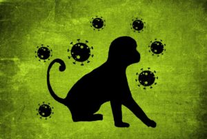 La variole du singe