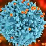 VIH / SIDA - virus