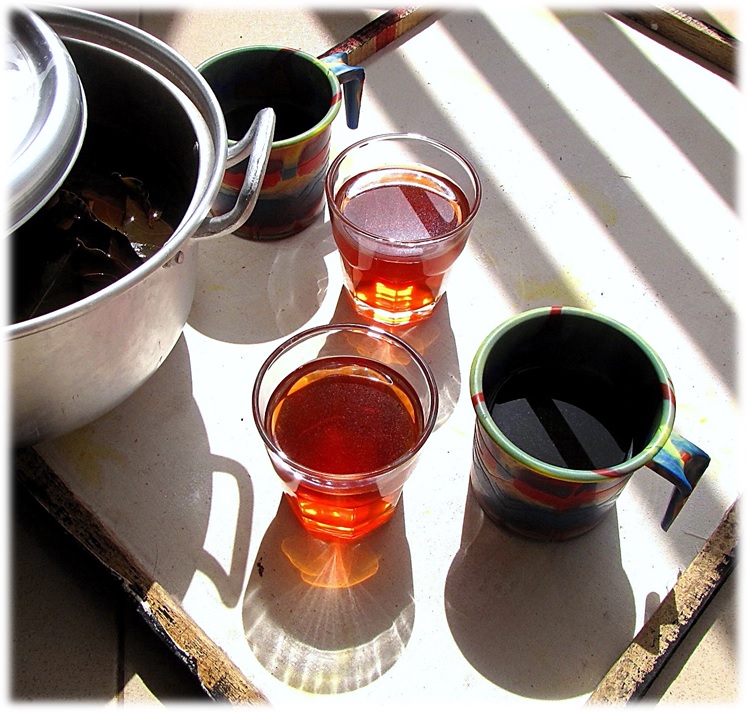 Infusion de plantes dans une tasse